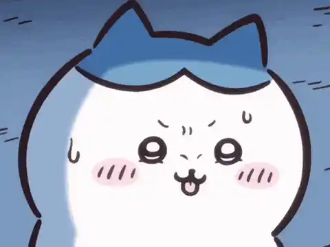 小八貓 吉伊卡哇