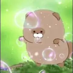 たぬき鍋 ぽんたん
