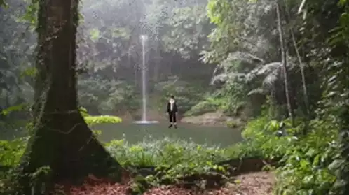 三枝明那 滝と森