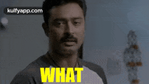 what.gif