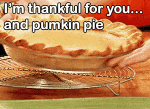 thankful for you and pumpkin pie