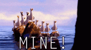 Finding Nemo