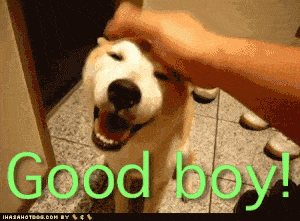 good boy