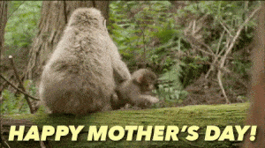 happy mothers day