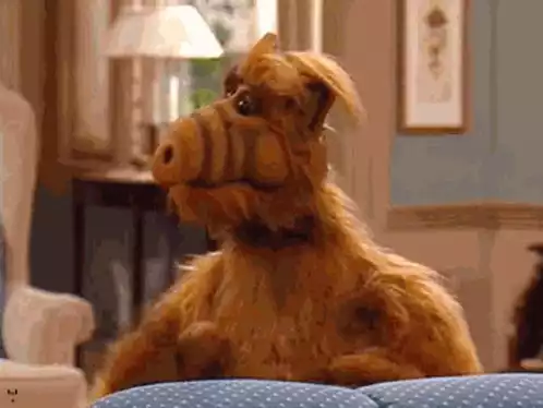 Alf
