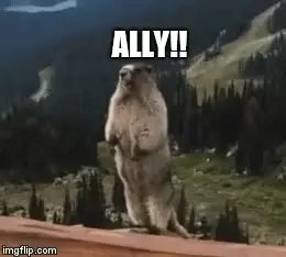 Marmot Yelling 'ALLY!!'