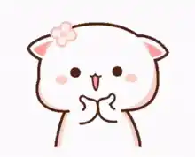 Amor: Cute Cat