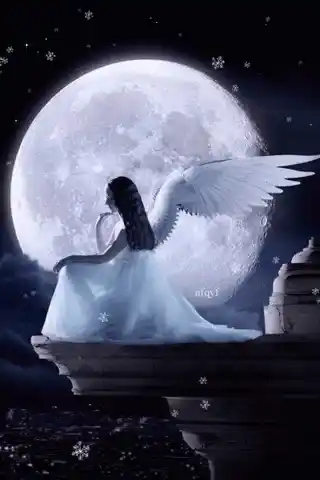 Angel Moonlight