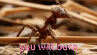 Angry Ant: You Will Burn