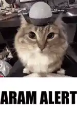 Aram Alert