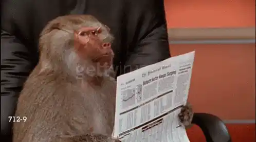 Baboon Reads The Financial Times Newspaper