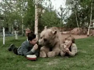 Friendly Bear Feed
