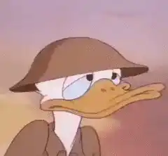 Donald Duck: Benjol Gue (My Bump)