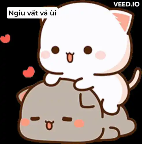 Beo Nu: Mèo mệt mỏi