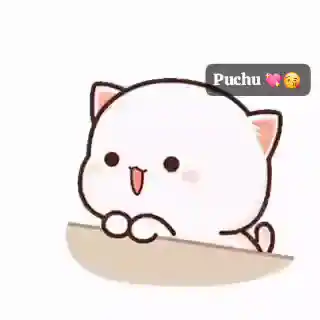 Besty: Cute Cat Says 'Love You' to Puchu