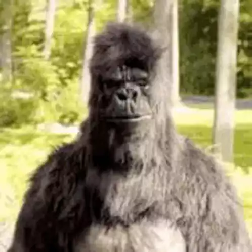 Big Brain Gorilla Thumbs Up