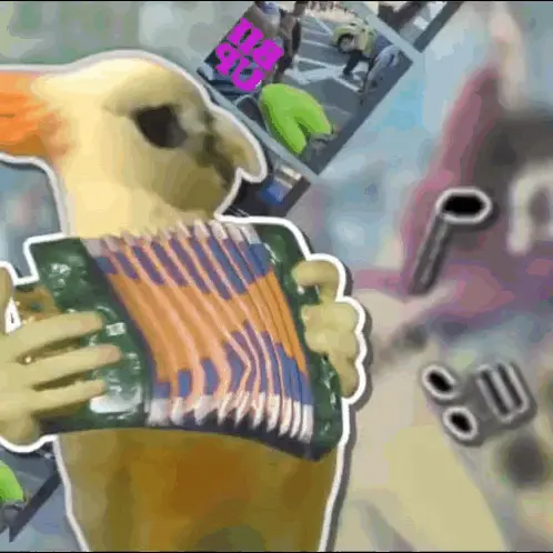 Bird Accordion Meme
