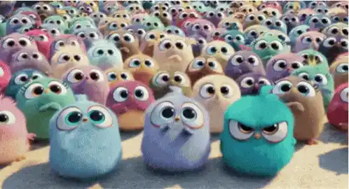 Angry Birds: Fierce Flock
