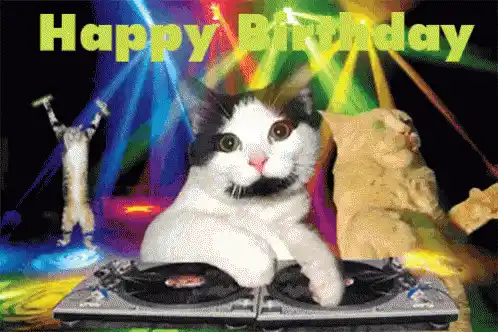 Happy Birthday Cat DJ Wishes