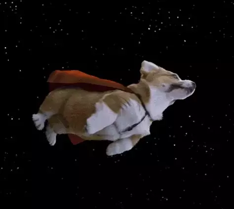 Birthday Corgi in Space: Star Wars Adventure