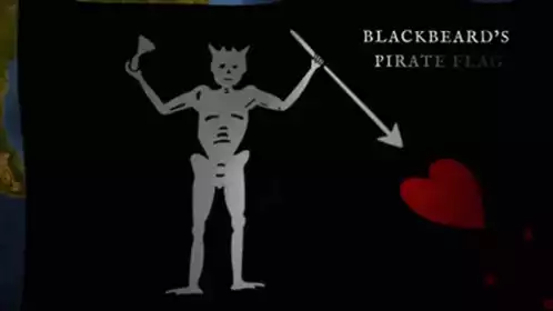 Blackbeard's Pirate Flag