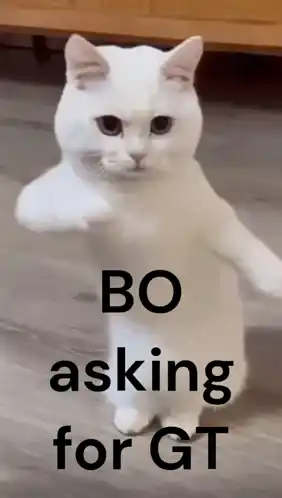 Bo Asking for GT - Cute Cat Meme