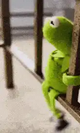 Kermit the Frog: Boredom Patiently Waiting