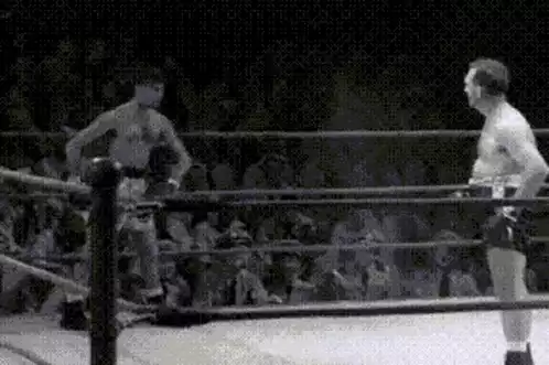 Funny Boxing Match Moment
