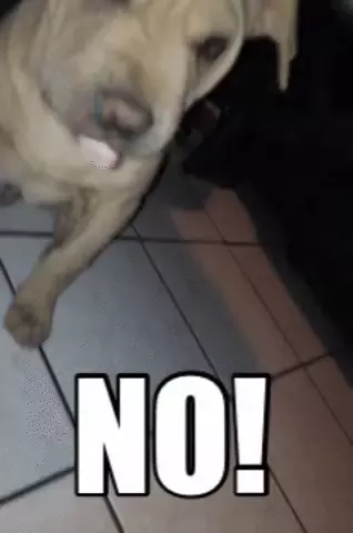 Bratty Dog Says No