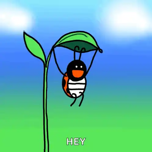 Bug