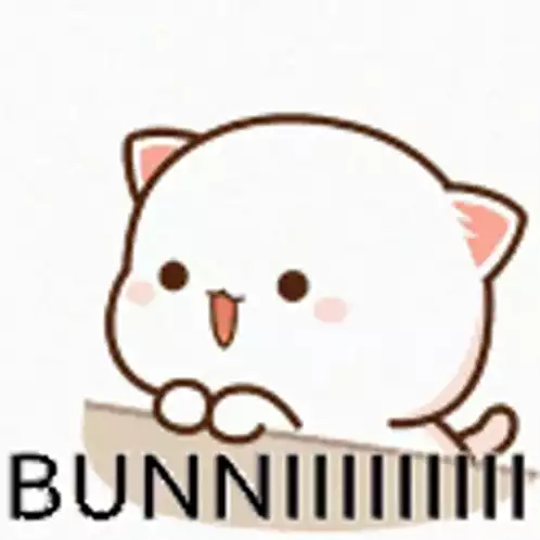 Bunni Bunya Cartoon Cat