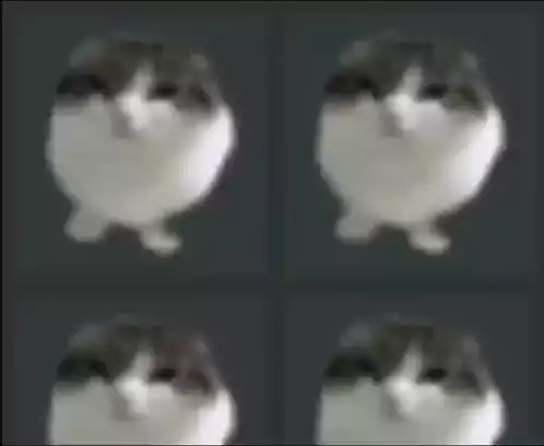 Can We Get Higher Meme