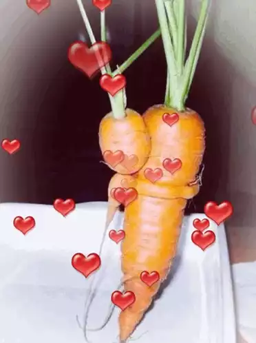 Cute Carrot Love Hug