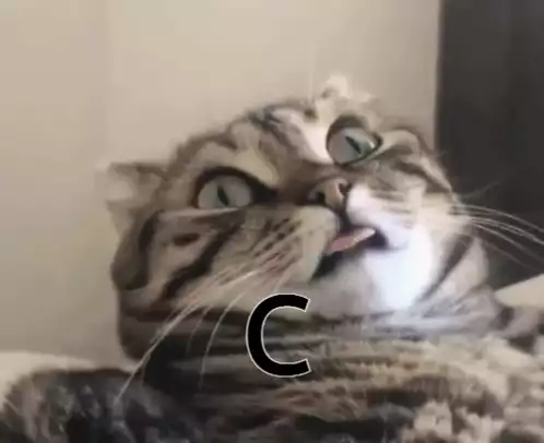 Funny Cat with 'C' on its Face