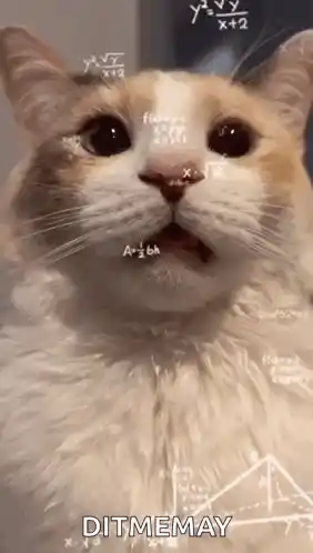 Cat Cat Math