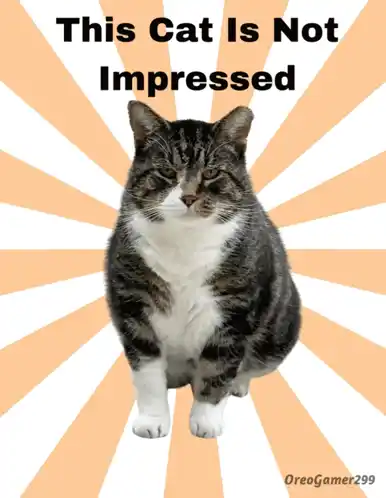 This Cat Is Not Impressed Meme