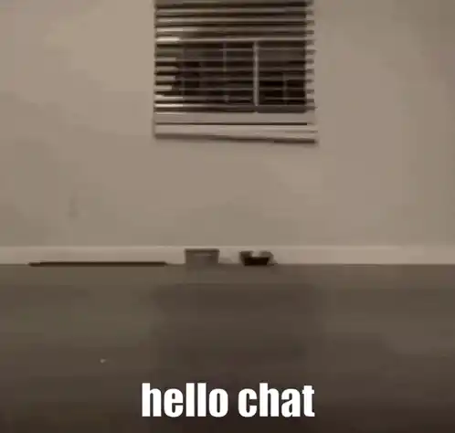 Cat Crawling: Hello Chat