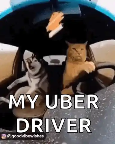 Cat Dog