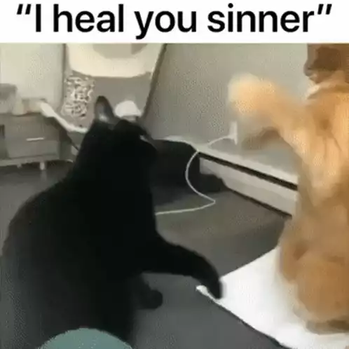 Cat Healer: 'I Heal You Sinner' Funny Cat Video