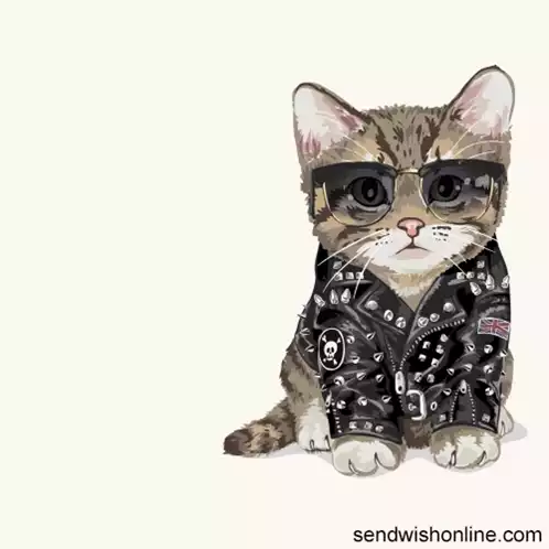 Cool Cat in Leather Jacket Says 'Leave Me Alone'