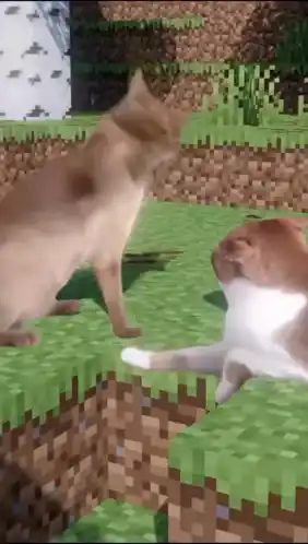 Cat Minecraft