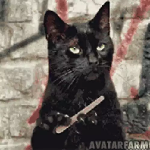 Black Cat with Nail File