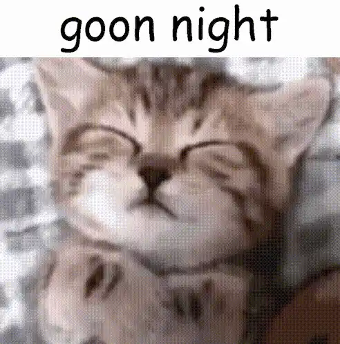 Cat Sleepy