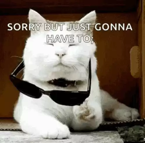 Cat Says 'Deal With It' Meme