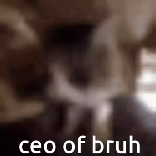 Ceo Of Bruh Cob