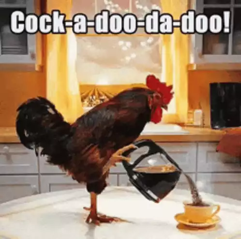 Cock-a-doo-da-doo Coffee Time