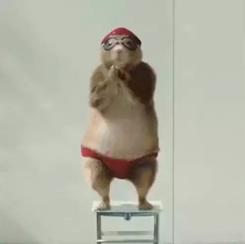 Funny Chipmunk Diving and Dancing