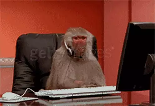 Irritated Monkey Typing at Computer