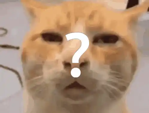 Confused Cat with Question Mark Face