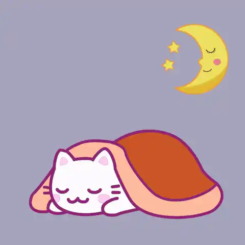 Boa noite, Coração!